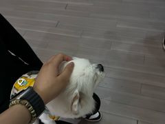 -江燕路万科里