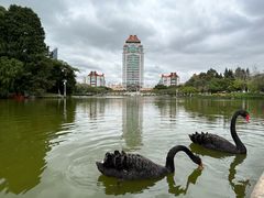 -厦门大学(思明校区)