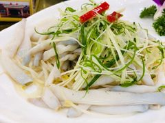 -寻味顺德·南记酒家·传统顺德菜·鱼生(广源路店)
