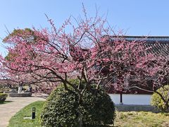 -上海海湾国家森林公园