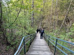 -峡谷浮石林景区