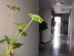 -星悦汇棋牌(徐泾店)