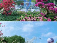 -莲花山公园
