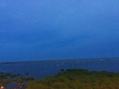 -碧海金沙