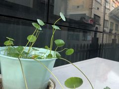 -半岛公馆(淞兴西路店)