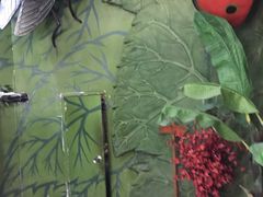 -上海大自然野生昆虫馆(东方明珠·爬宠昆虫探索中心)