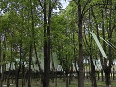 -柳鹭田园区
