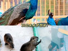 -南湖梦幻岛