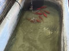 -蒙亨·手把肉·蒙古包文化主题餐厅(天恒广场店)