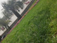 -南通洲际绿博园