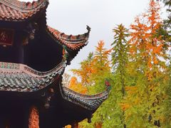 -青羊宫