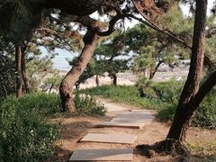 -青岛海滨风景区