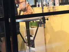 -西元前宠物酒店(郑庄府邸店)