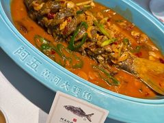-阿五黄河大鲤鱼(英协路店)