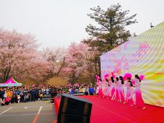 -吉林大学(南岭校区)