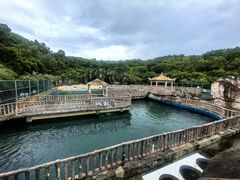 -广东惠东海龟国家级自然保护区