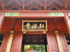 -深圳仙湖植物园