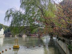 -西园戒幢律寺