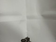 -WHEN PIGS FLY当猪飞