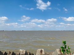 -上海滨江森林公园