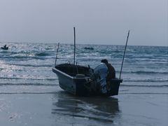 -贝壳沙滩