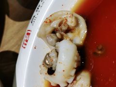 椒麻胶东小章鱼-直隶安家牛肉罩饼(建华店)