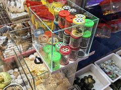 -双季花艺园艺市场(浦东店)