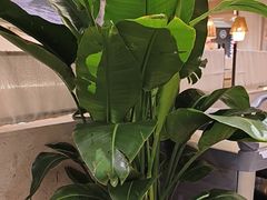 -周家二小姐的菜·扬州菜·香炒蟹·狮子头(江都金鹰店)