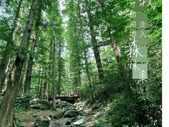-国家植物园