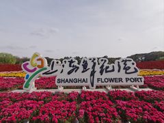 -上海鲜花港