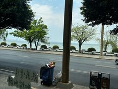 -野菌皇海景野生菌火锅(滨海大道店)