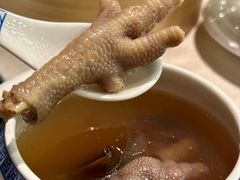 -金燕岛潮州酒楼