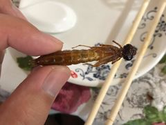 -金台阶鱼馆(于桥水库店)