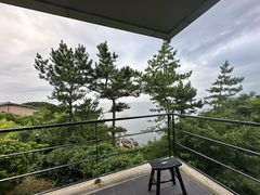-滨千鸟之汤 海舟