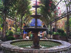 -The Grounds of Alexandria