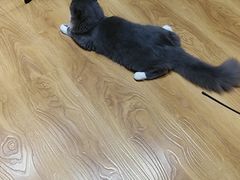 -麦当劳(西安雁塔路店)