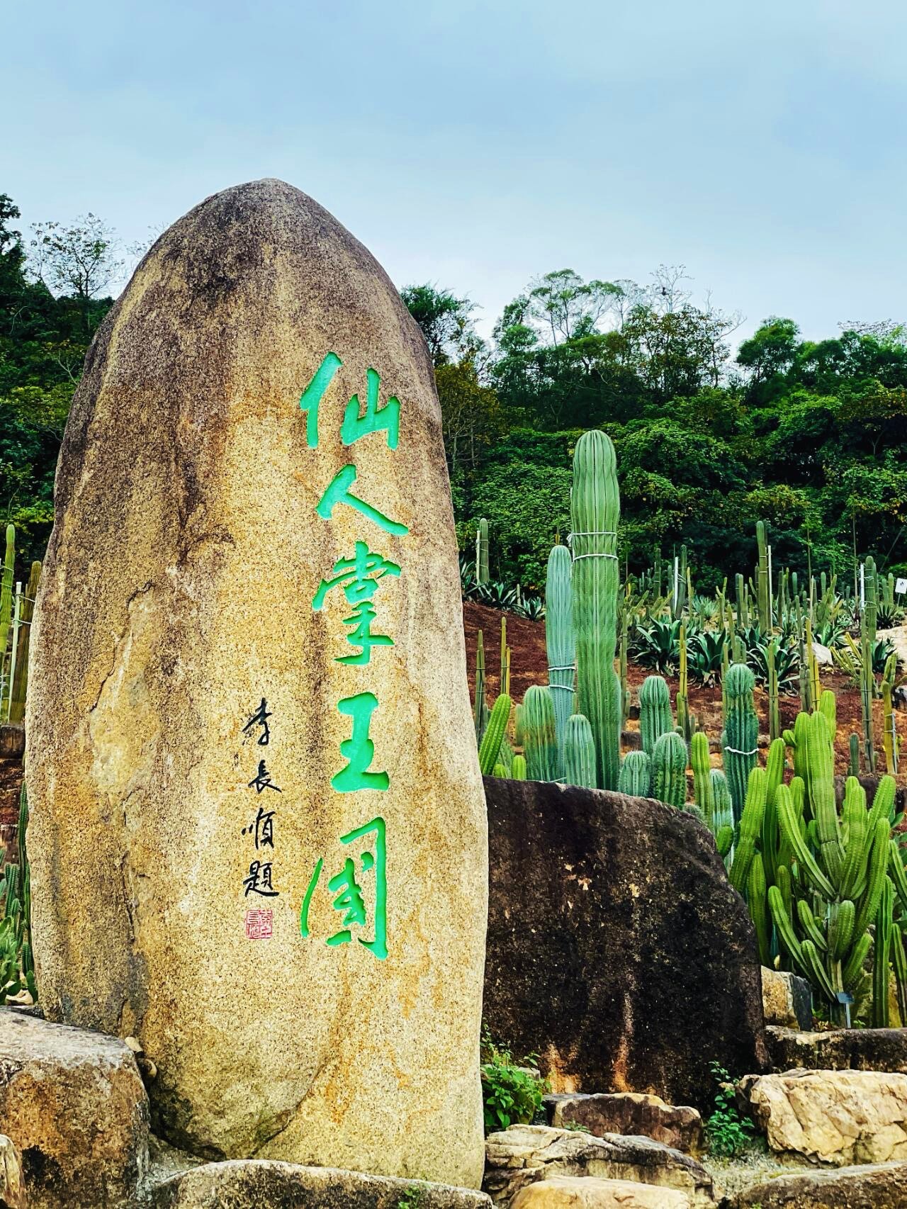 n就在福建漳州的蜗牛村仙人掌王国,占地总面积约306亩.