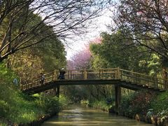 -同里国家湿地公园