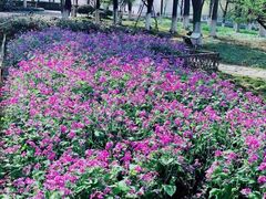 -白塘生态植物园