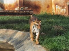 -昆明动物园