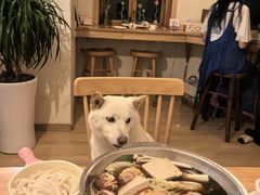 -柴の食堂·日式家庭料理·熊之肆(大学路店)