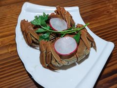 -呼吸森林·生态农庄农家乐私房菜