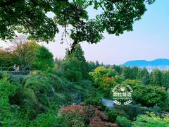 -四季餐厅