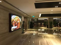 -新加坡乌节希尔顿酒店 (SG Clean)