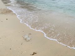 -三亚太阳湾柏悦酒店