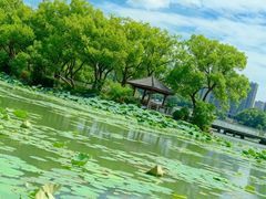 -月湖风景区