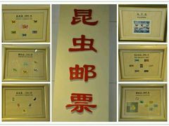 -上海昆虫博物馆