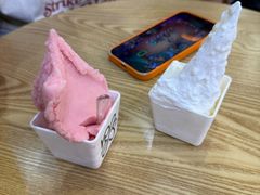 -野人先生Gelato(上海长宁龙之梦店)