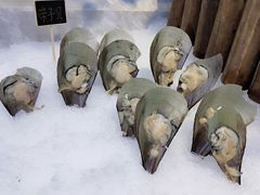 -川骄海鲜自助(河东店)