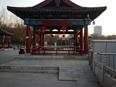 -莲花池公园